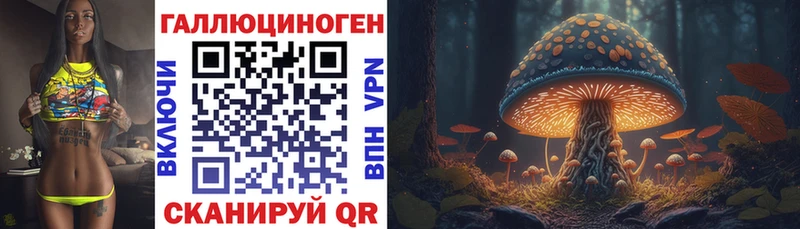 Галлюциногенные грибы Cubensis  Галич 